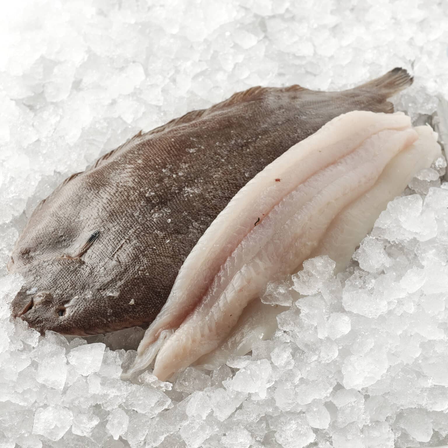 Melanders fisk
